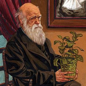 Illustration: Charles Darwin